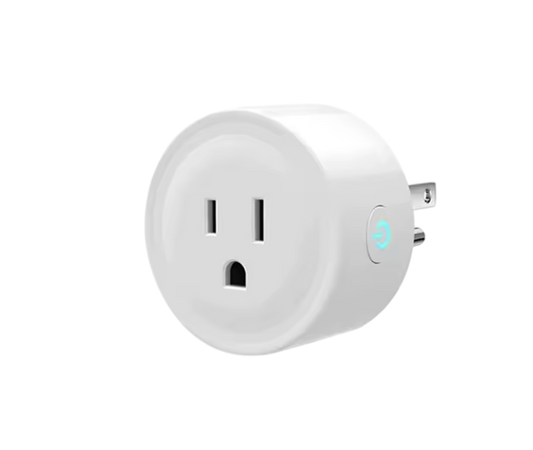 20A Smart Plug